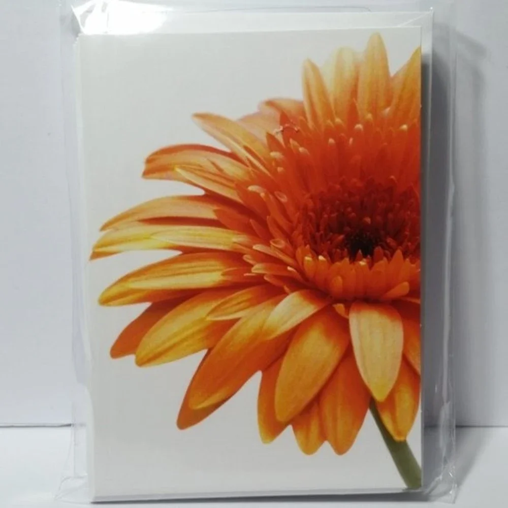 Hallmark Cards w/Envelopes Flower 3 Packs